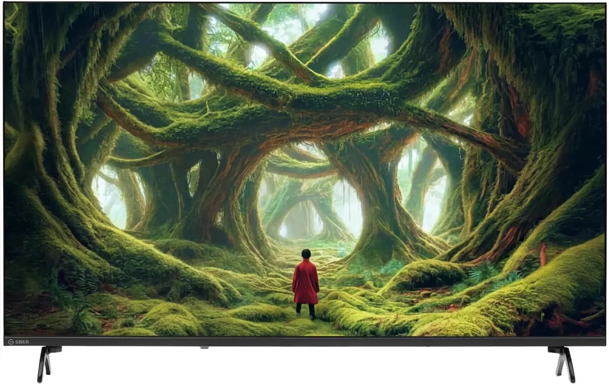 43" (109 cm) TV Sber SDX-43U5500DBA black [Direct LED, 4K UltraHD, Wi-Fi, 60 Hz, fireworks TV, HDMI x 3, USB x 2 pcs]