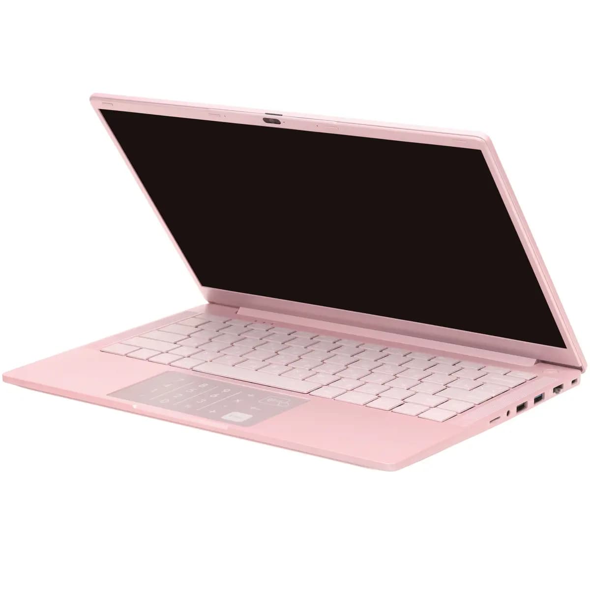 14.1" laptop DEXP Aquilon C14-INW602 pink [English/Russian layout, 1920x1080, IPS, Intel N100, 4 x 0.1 GHz, RAM 8 GB, SSD 256 GB, Intel UHD Graphics, Windows 11 Pro]