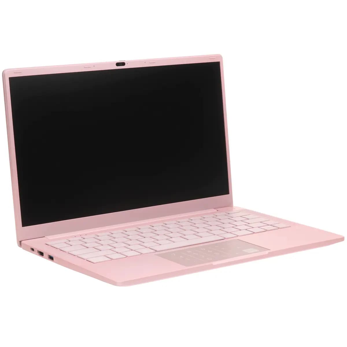 14.1" laptop DEXP Aquilon C14-INW602 pink [English/Russian layout, 1920x1080, IPS, Intel N100, 4 x 0.1 GHz, RAM 8 GB, SSD 256 GB, Intel UHD Graphics, Windows 11 Pro]