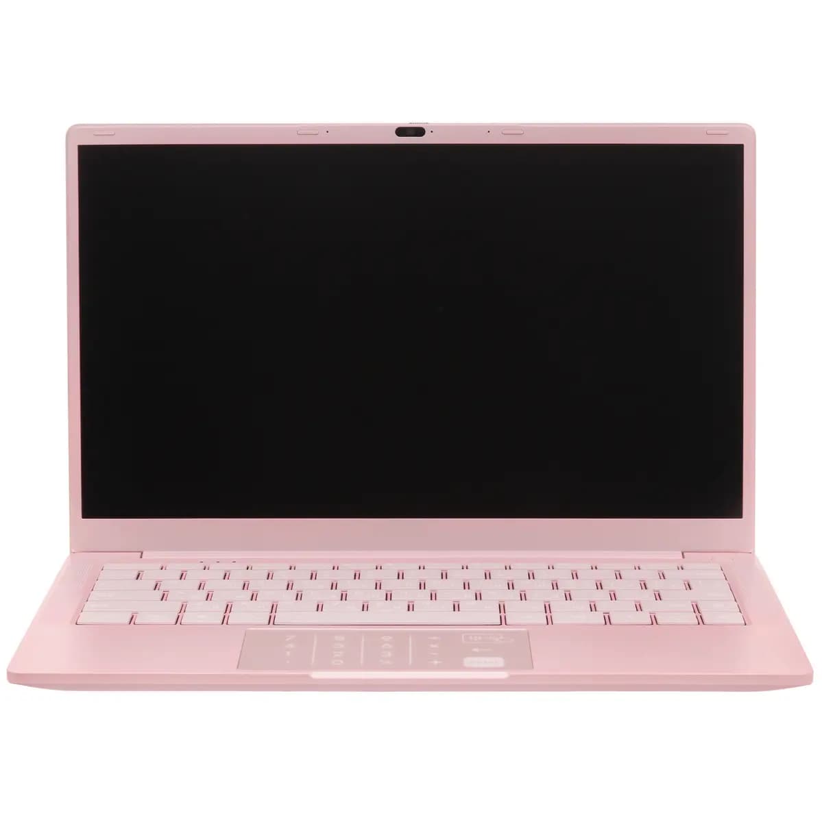 14.1" laptop DEXP Aquilon C14-INW602 pink [English/Russian layout, 1920x1080, IPS, Intel N100, 4 x 0.1 GHz, RAM 8 GB, SSD 256 GB, Intel UHD Graphics, Windows 11 Pro]