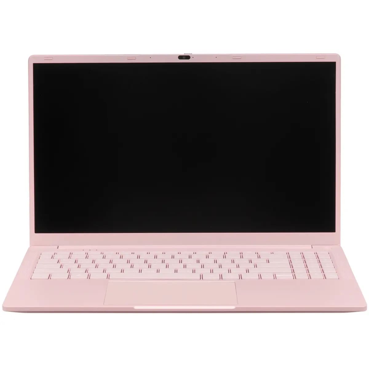 15.6" laptop DEXP Aquilon C15-INW605 pink [English/Russian layout, 1920x1080, IPS, Intel N100, cores: 4 x 0.1 GHz, RAM 8 GB, SSD 256 GB, Intel UHD Graphics, Windows 11 Pro]