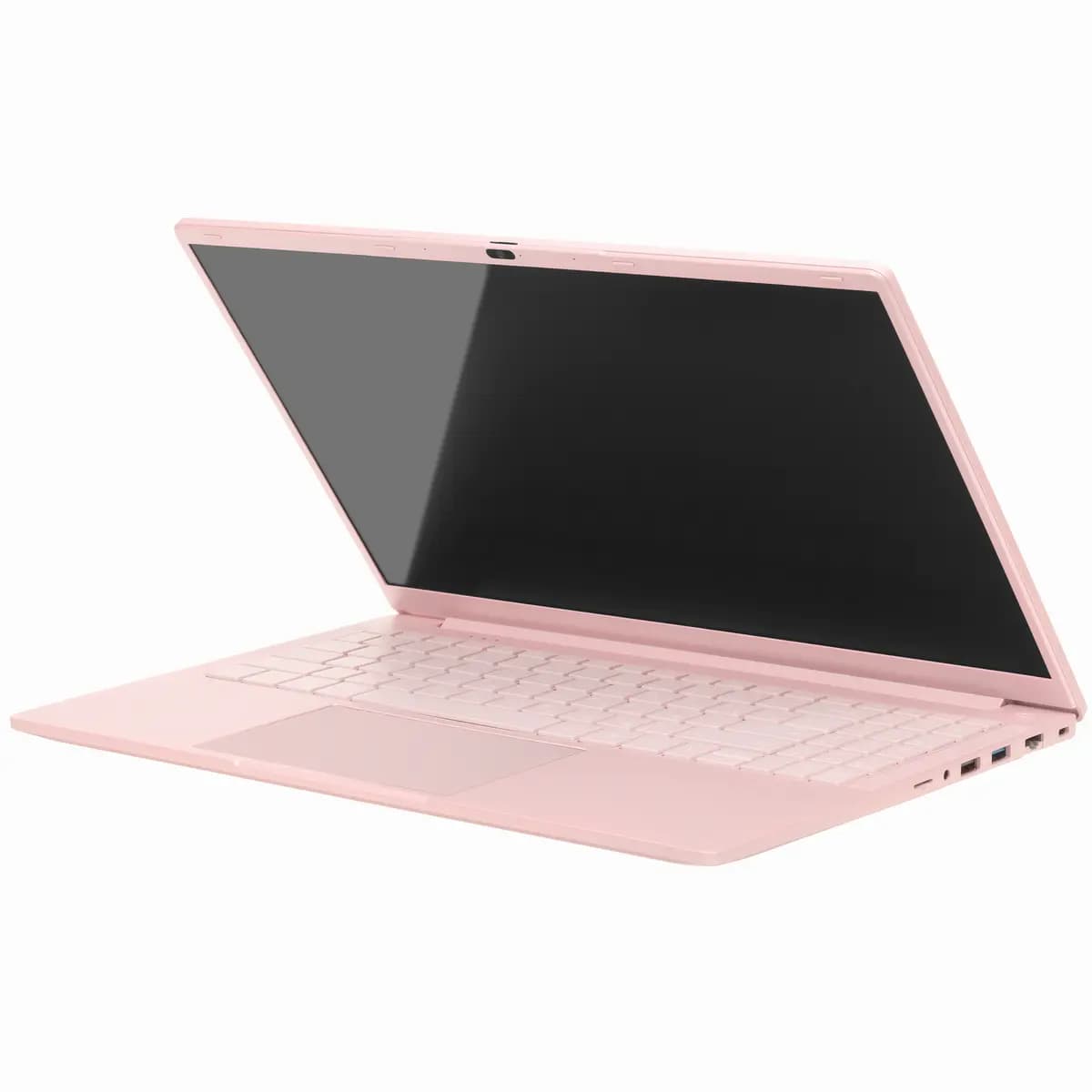 15.6" laptop DEXP Aquilon C15-INW605 pink [English/Russian layout, 1920x1080, IPS, Intel N100, cores: 4 x 0.1 GHz, RAM 8 GB, SSD 256 GB, Intel UHD Graphics, Windows 11 Pro]