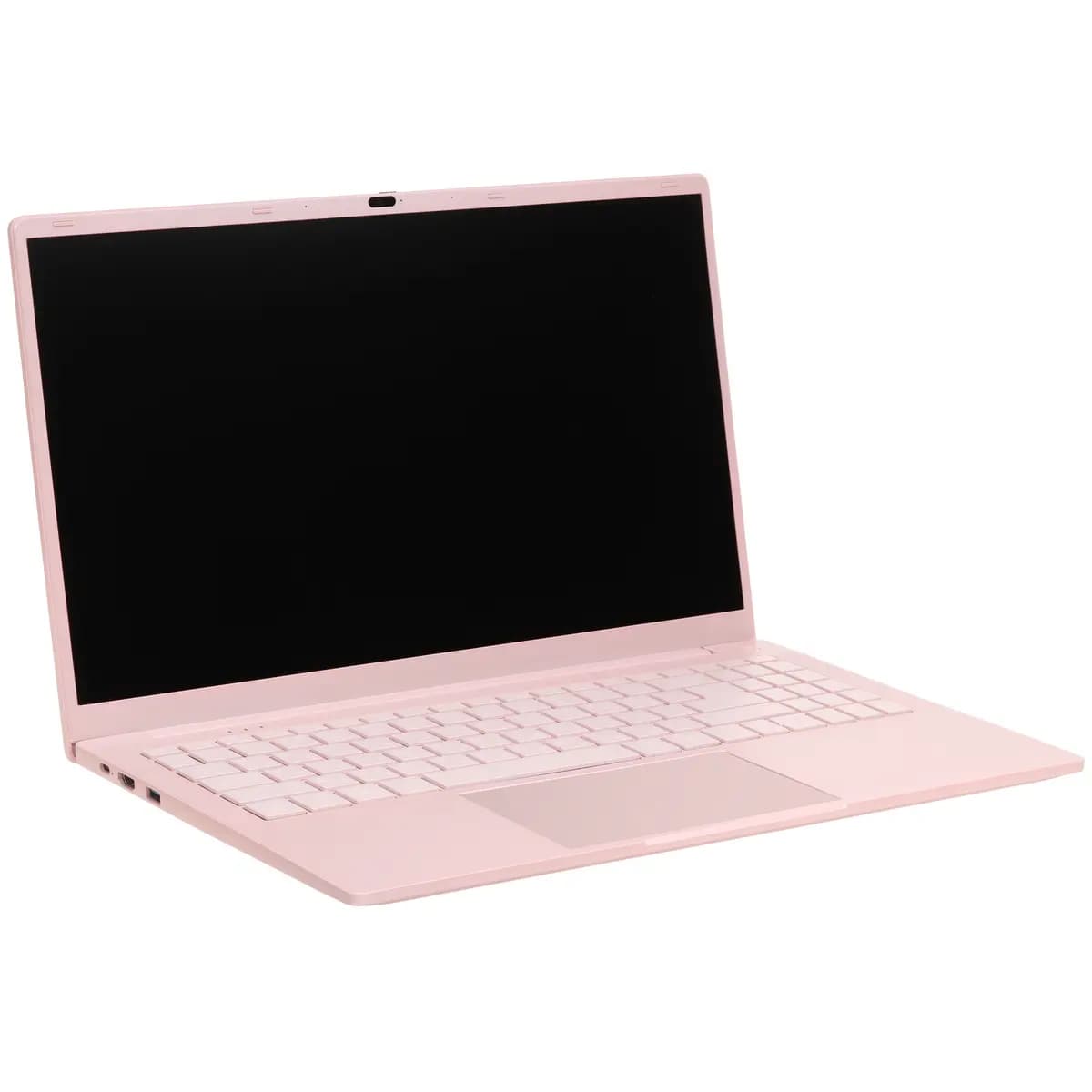 15.6" laptop DEXP Aquilon C15-INW605 pink [English/Russian layout, 1920x1080, IPS, Intel N100, cores: 4 x 0.1 GHz, RAM 8 GB, SSD 256 GB, Intel UHD Graphics, Windows 11 Pro]