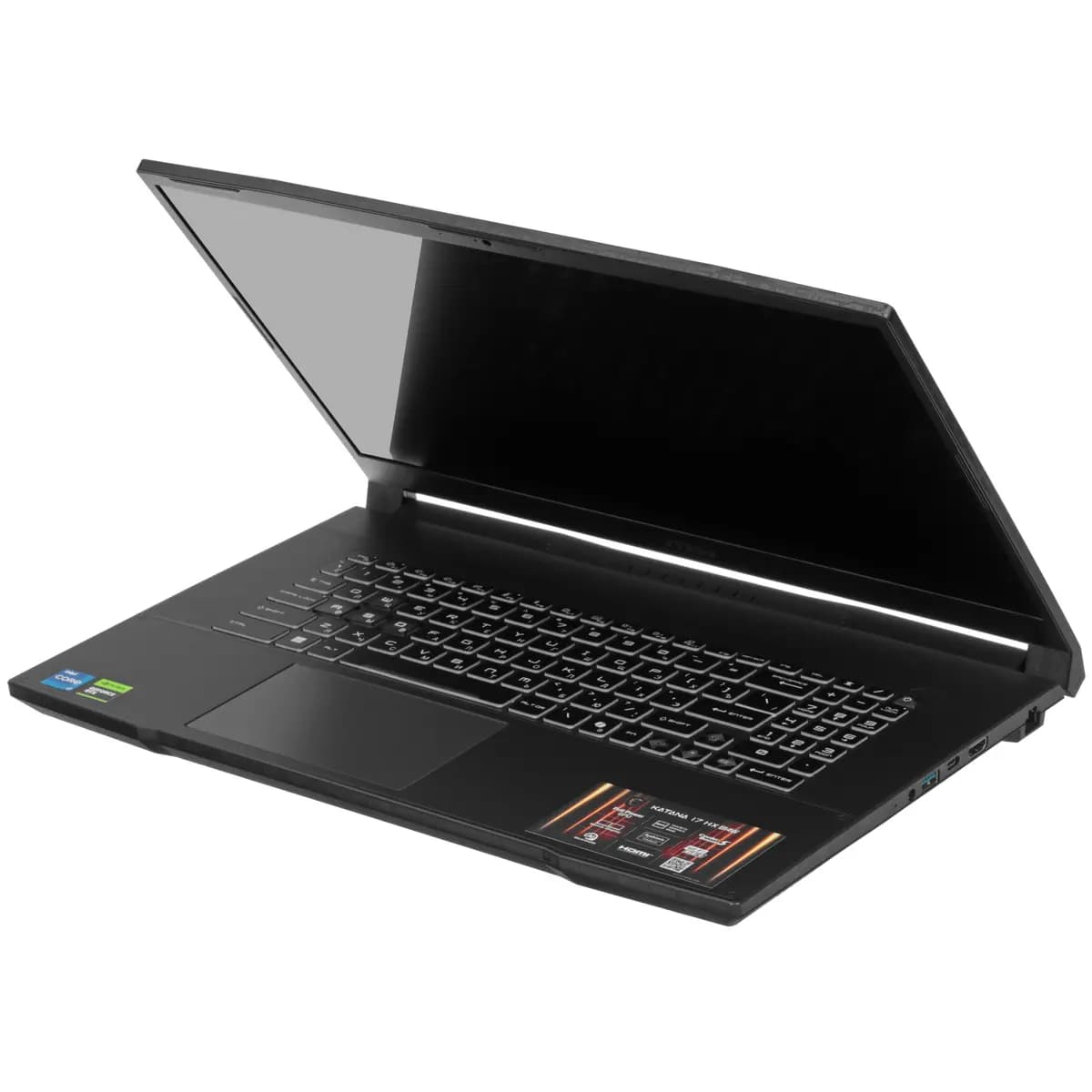 17.3" laptop MSI Katana 17 HX B14WFK-214XRU black [English/Russian layout, 1920x1080, IPS, Intel Core i7-14650HX, cores: 8 x 2.2 GHz + 8 x 1.6 GHz, RAM 16 GB, SSD 1000 GB, GeForce 