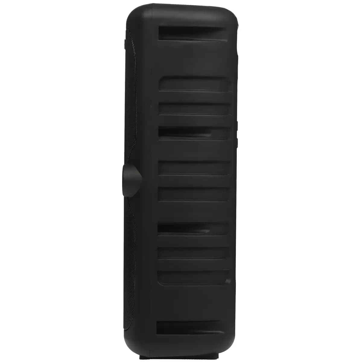 Portable audio system Aceline APA-100, black [60 W, Bluetooth, AUX, 3600 mAh, battery life - up to 3 h]
