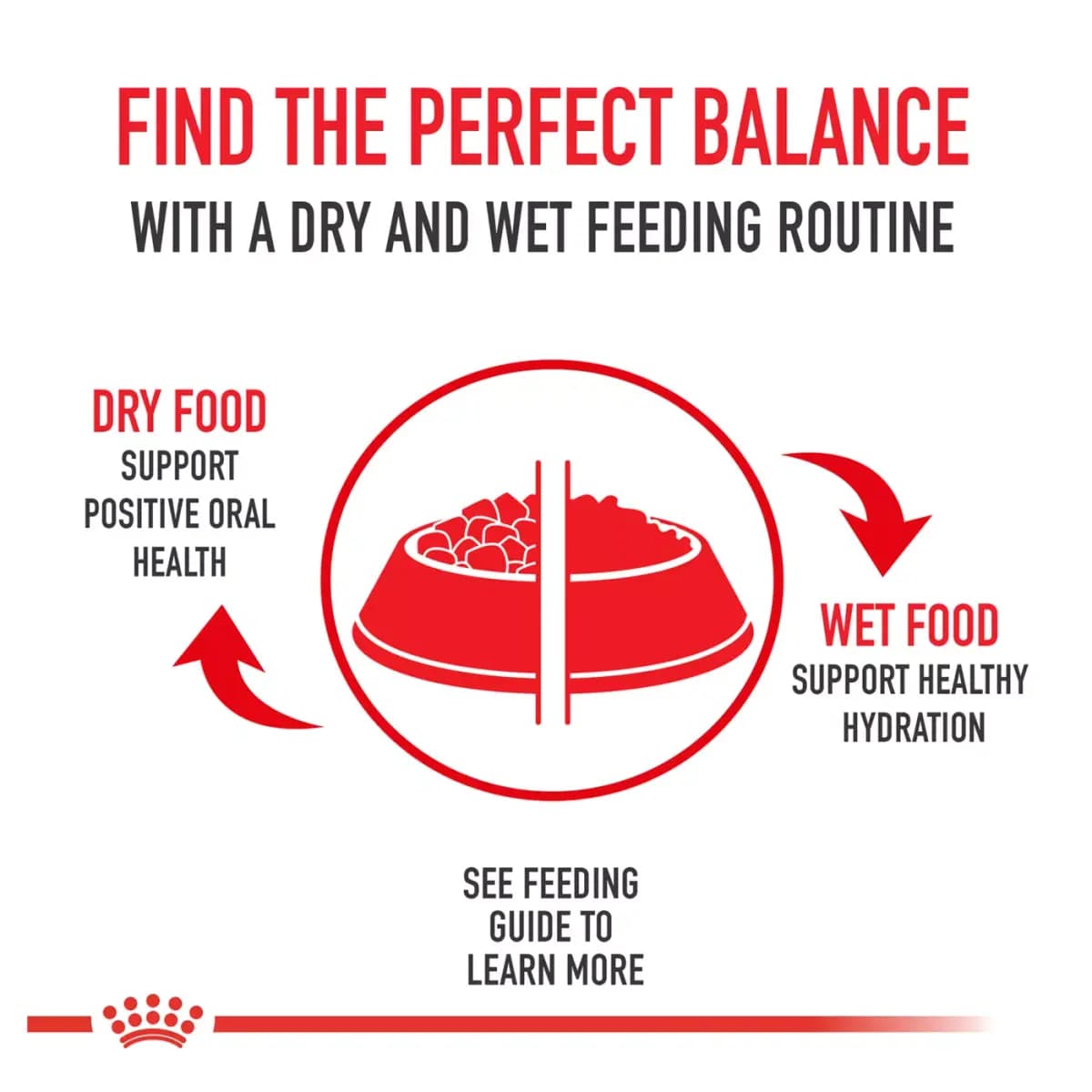 Royal Canin Feline Maine Coon Adult Dry Cat Food, Breed Nutrition [Item Number 5204033, Brand Royal Canin, Food Type Dry Kibble, Life Stage Adult]