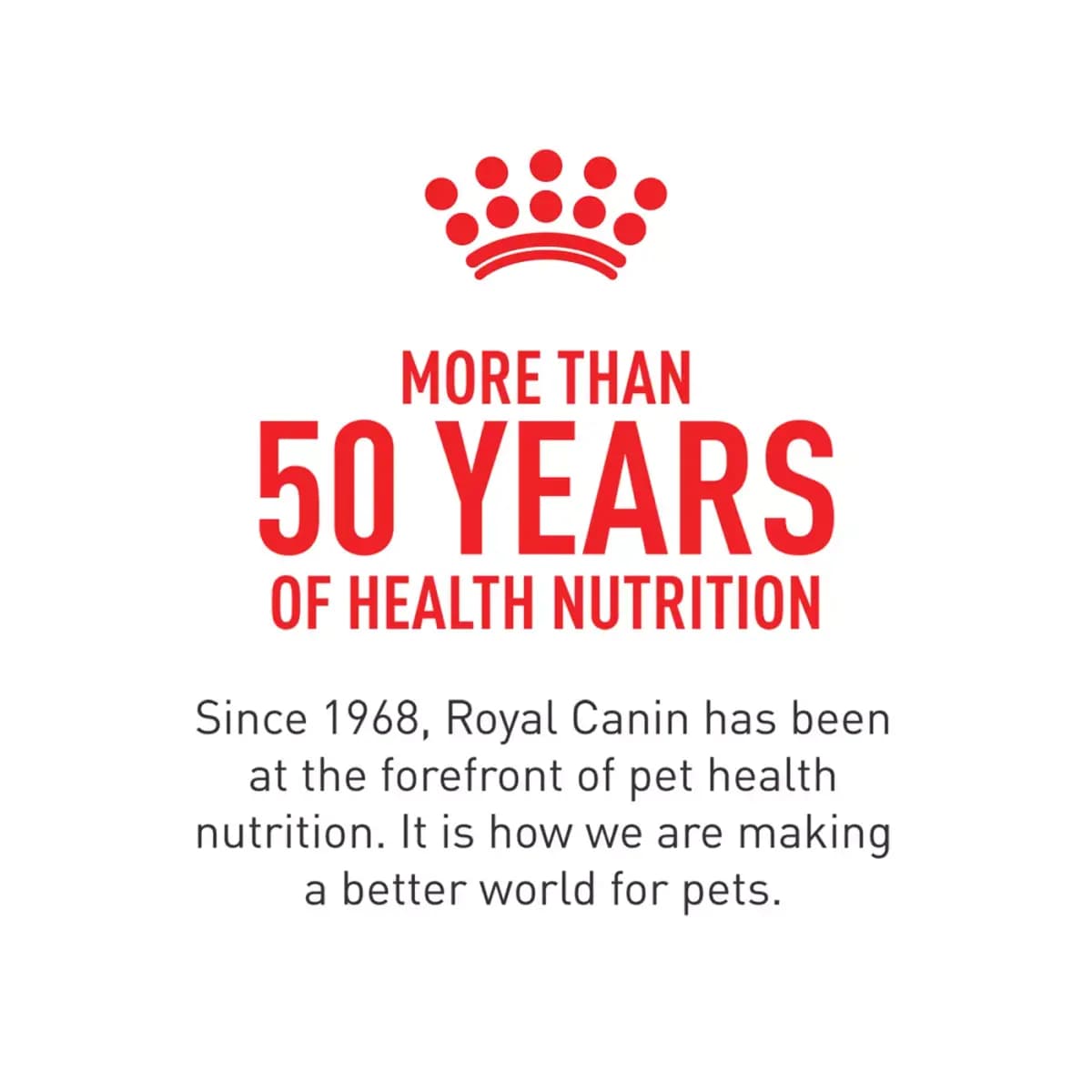 Royal Canin Feline Maine Coon Adult Dry Cat Food, Breed Nutrition [Item Number 5204033, Brand Royal Canin, Food Type Dry Kibble, Life Stage Adult]