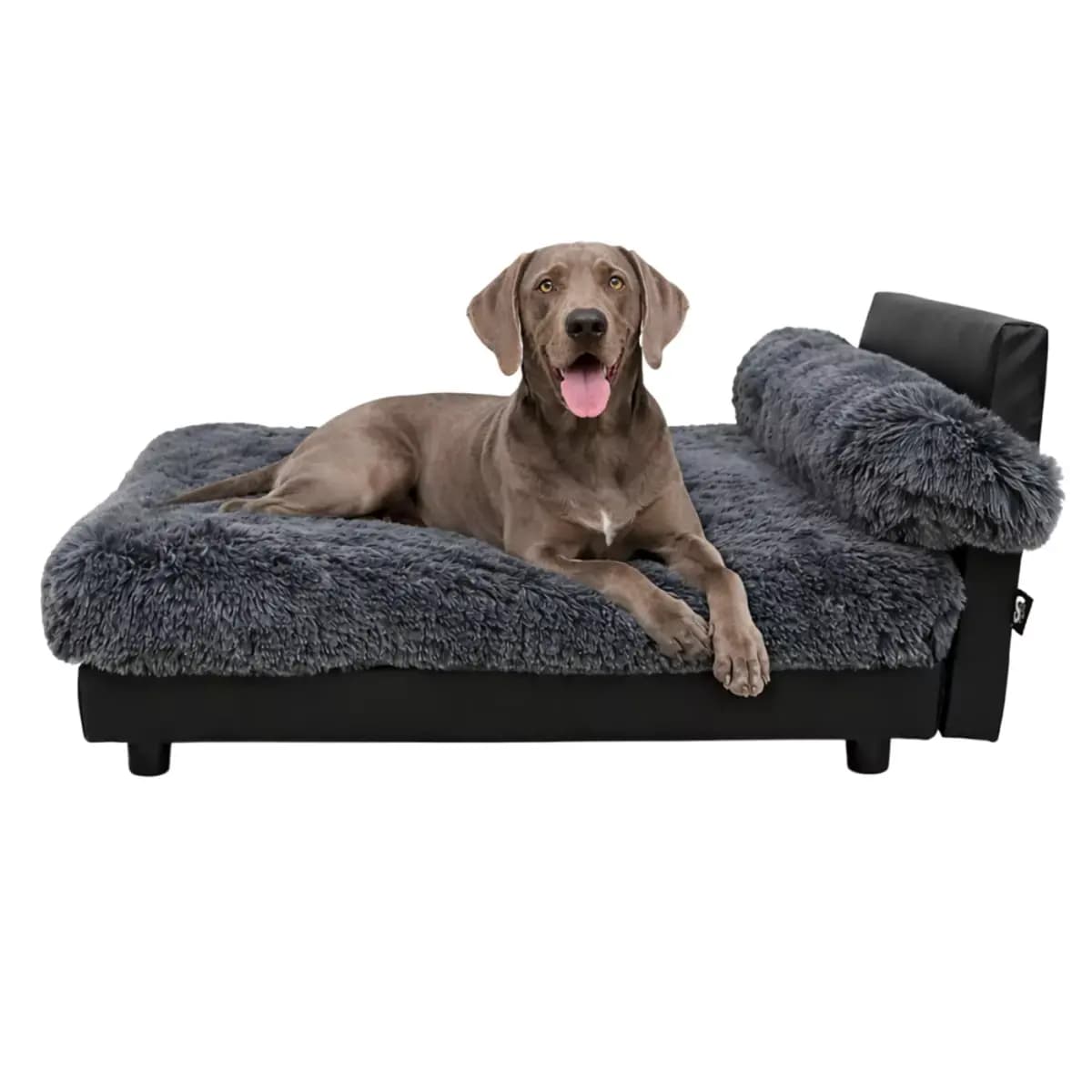 Club Nine Pets Lido Orthopedic Raised Dog Bed [Intended For Dog, Cat, Color Storm, Dimensions 28 x 20 x 18, Includes 1 sofa bed]