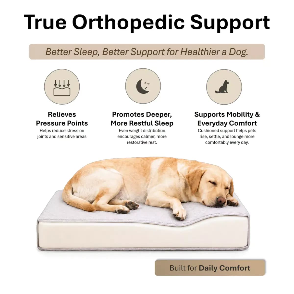 Club Nine Pets Lido Orthopedic Raised Dog Bed [Intended For Dog, Cat, Color Storm, Dimensions 28 x 20 x 18, Includes 1 sofa bed]