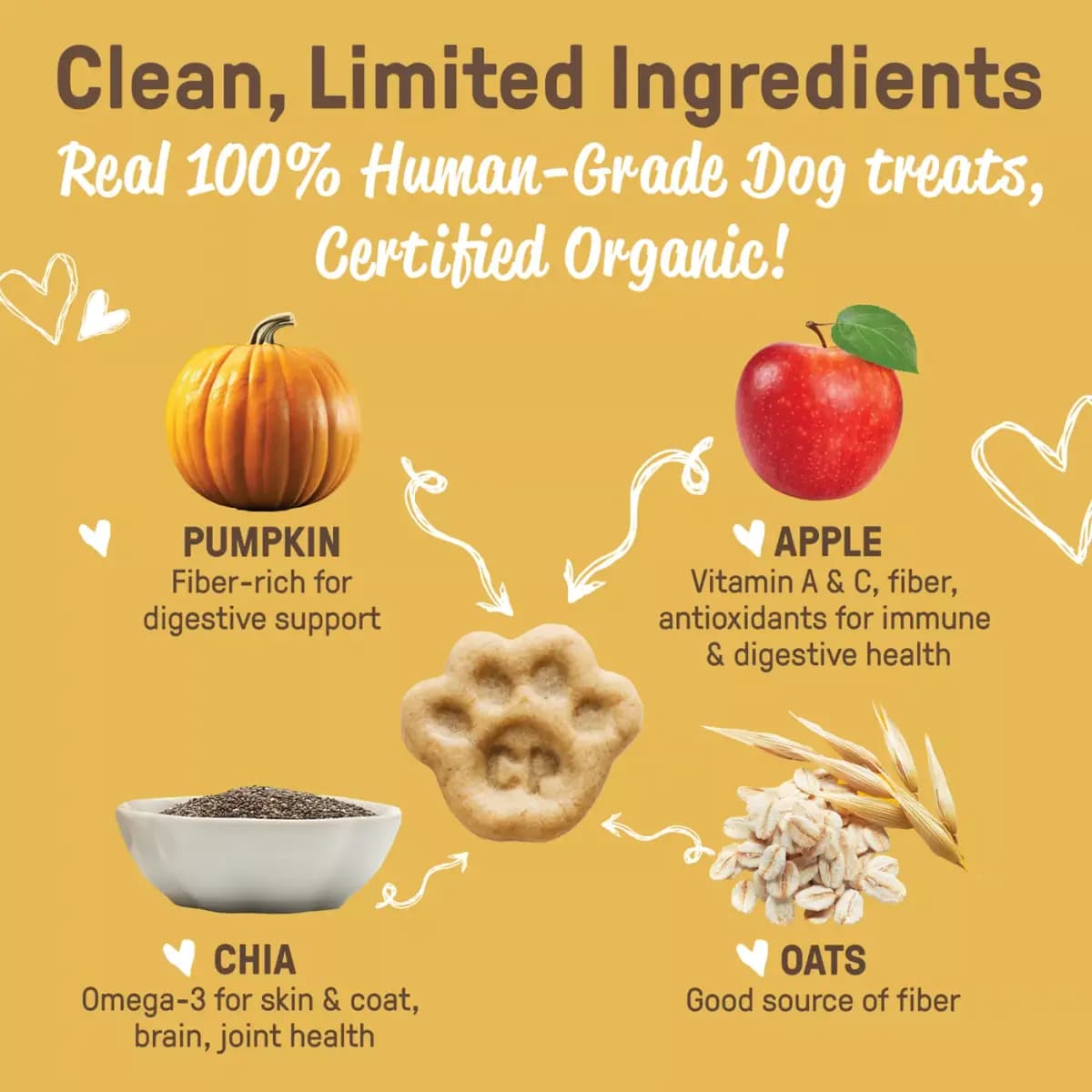 Cookie Pal Soft & Chewy Dog Treats, Fall Harvest - Apple & Pumpkin Flavor 8.8 oz [Species Dog, Brand COOKIE PAL, Food Type Soft Treats, Breed Size ALL]