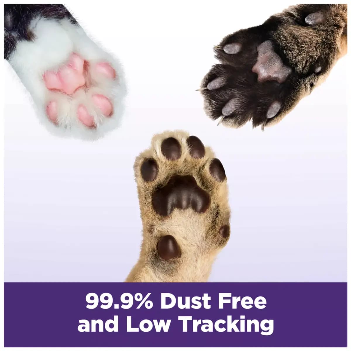 Arm & Hammer™ Clump & Seal Slide Clumping Multi-Cat Clay Cat Litter - Low Dust [Material Limestone, Bentonite, Baking Soda with p, Environment Type Indoors, Species Cats, Color Gra