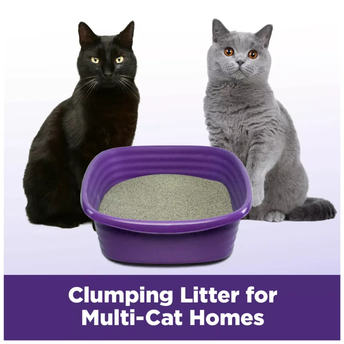 Arm & Hammer™ Clump & Seal Slide Clumping Multi-Cat Clay Cat Litter - Low Dust [Material Limestone, Bentonite, Baking Soda with p, Environment Type Indoors, Species Cats, Color Gra