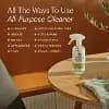 Branch Basics Fragrance-Free All Purpose Cleaner - 16 fl oz: Paraben-Free, Sulfate-Free, Phosphate-Free, Phthalate-Free [Scent Unscented, Health Facts No Fragrance Added, Phosphate