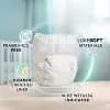 Pampers Pure Protection Diapers Pack - Size 5 - 88ct [Health Facts No Fragrance Added, Paraben-Free, Features Hypoallergenic, Wetness Indicator, Absor, Disposability Do not flush, 