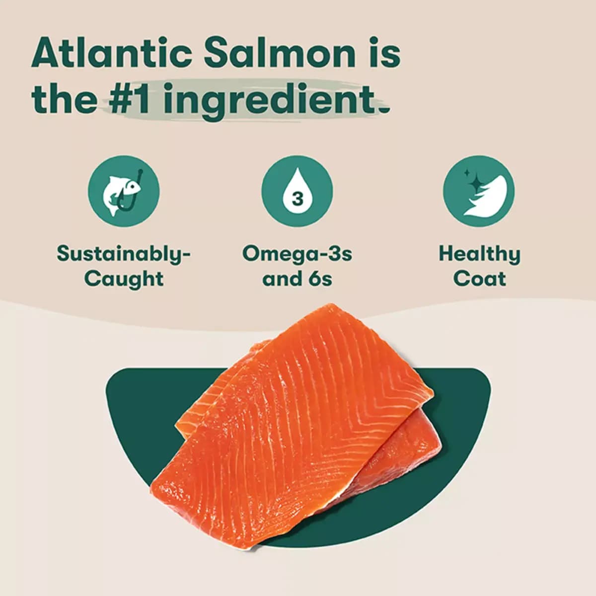 Jinx All Life Stages Grain-Free Dry Dog Food - Atlantic Salmon, Sweet Potato & Carrot [Species Dog, Brand Jinx, Food Type Kibble, Breed Size All]