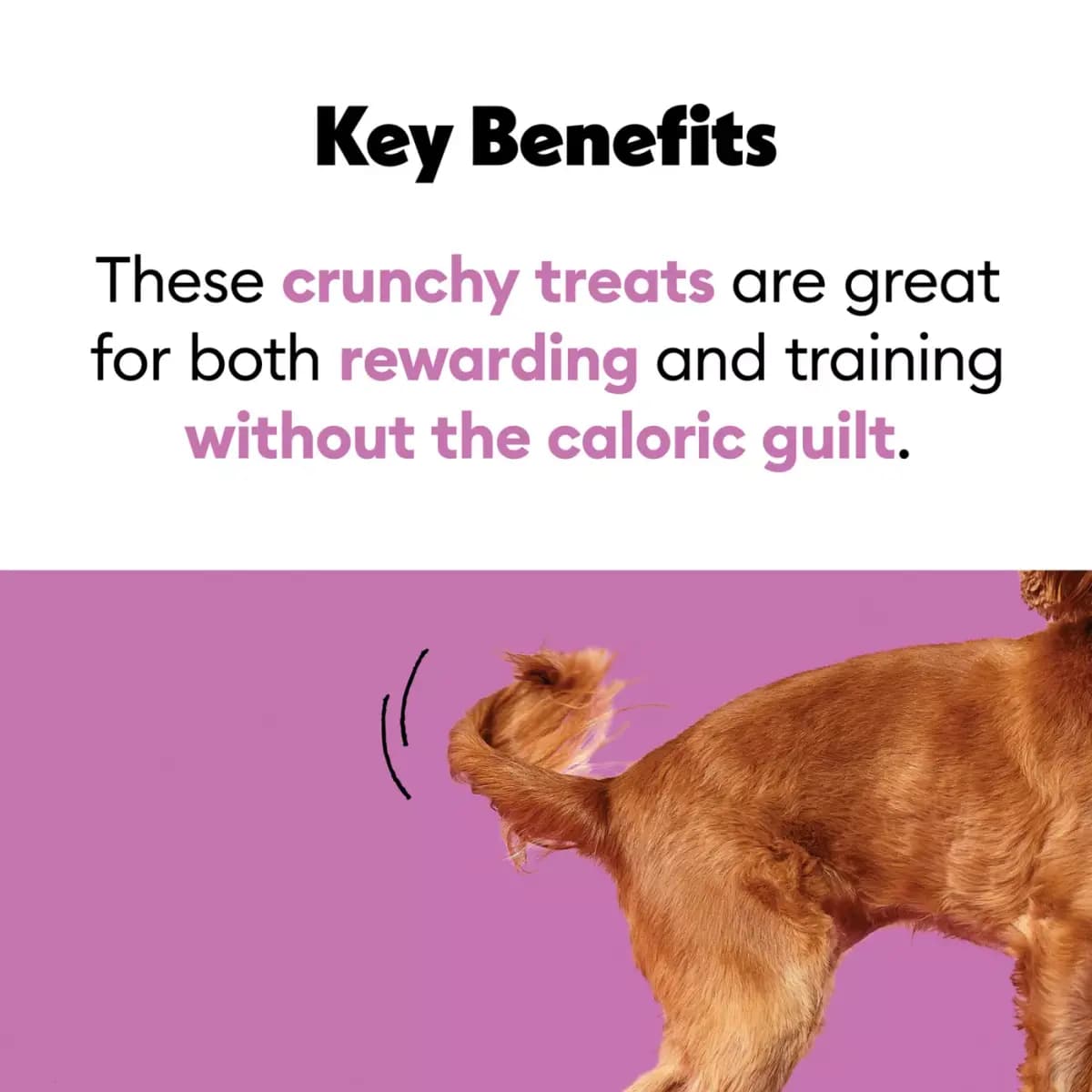 Wiggles & Wags Freeze Dried Chicken Crunchy Dog Treats [Brand Wiggles & Wags®, Food Type Treat, Made In USA, Intended For Dogs]