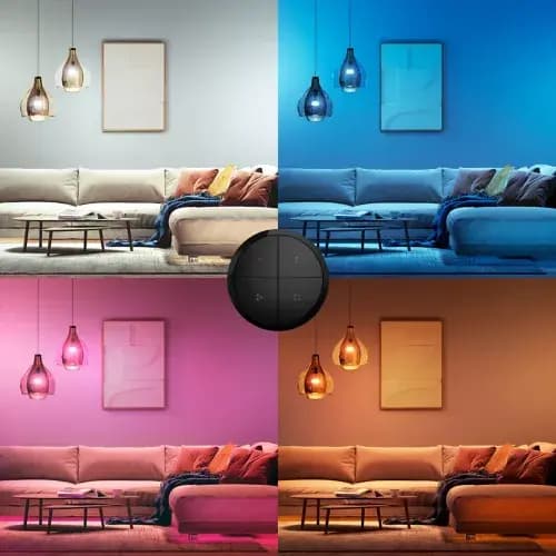 Philips Hue Tap dial switch [046677578770, Black, Synthetic]