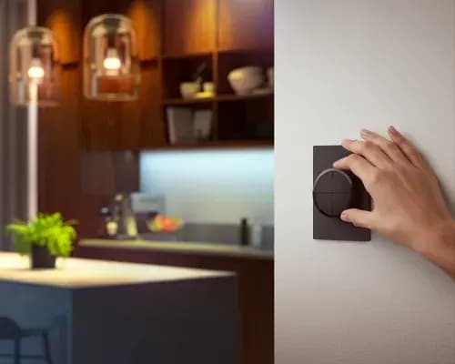 Philips Hue Tap dial switch [046677578770, Black, Synthetic]