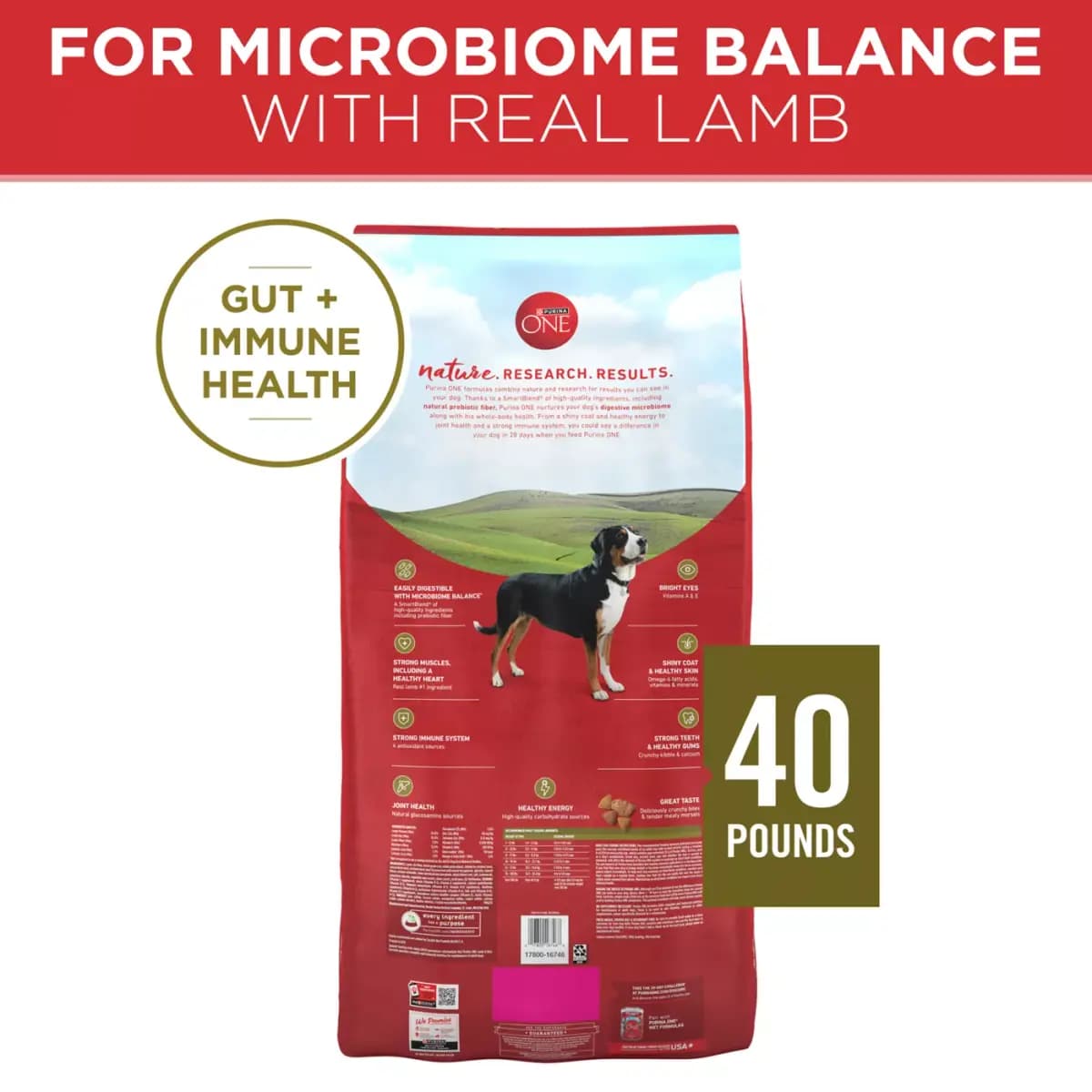 Purina ONE SmartBlend Natural Dry Dog Food - Lamb & Rice [Species Dog, Brand ONE SmartBlend, Food Type Blended, Semi-Moist, Kibble, Crunchy, Breed Size Blended, Semi-Moist, Kibble,