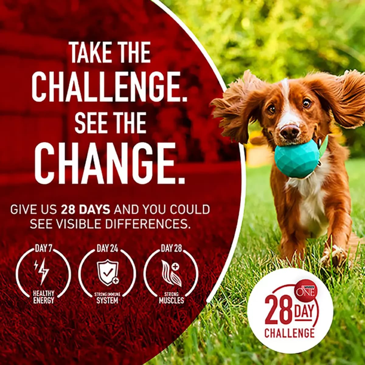 Purina ONE SmartBlend Natural Dry Dog Food - Lamb & Rice [Species Dog, Brand ONE SmartBlend, Food Type Blended, Semi-Moist, Kibble, Crunchy, Breed Size Blended, Semi-Moist, Kibble,