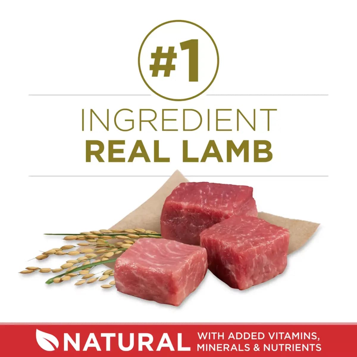 Purina ONE SmartBlend Natural Dry Dog Food - Lamb & Rice [Species Dog, Brand ONE SmartBlend, Food Type Blended, Semi-Moist, Kibble, Crunchy, Breed Size Blended, Semi-Moist, Kibble,