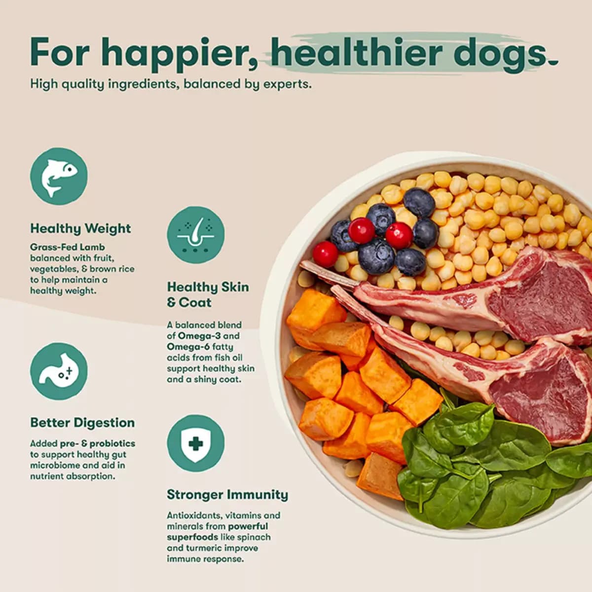 Jinx All Life Stages Grain-Free Dry Dog Food - Lamb, Sweet Potato & Carrot [Species Dog, Brand Jinx, Food Type Kibble, Breed Size All]