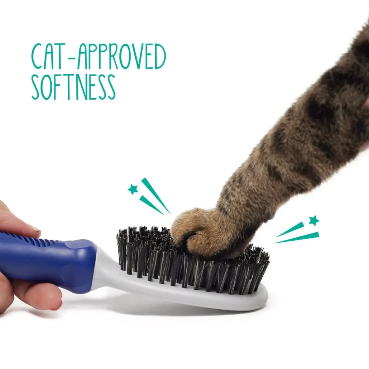 Whisker City® Soft Bristle Cat Grooming Brush [Brand Whisker City®, Includes 1 Brush, Intended For Cats, Color Blue, Grey, Black]