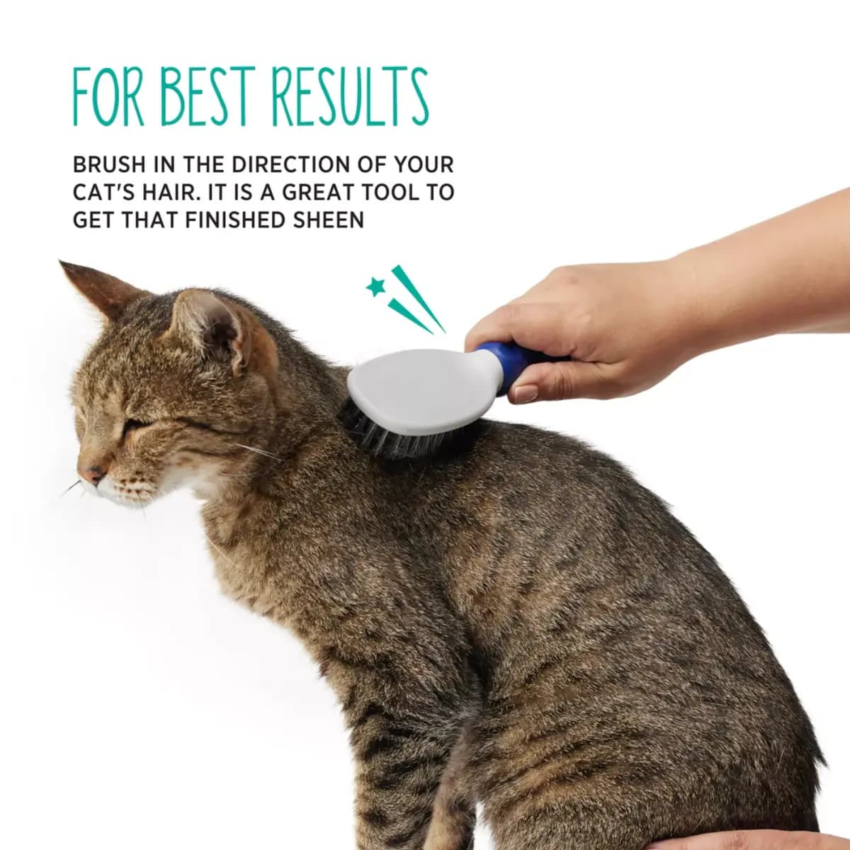 Whisker City® Soft Bristle Cat Grooming Brush [Brand Whisker City®, Includes 1 Brush, Intended For Cats, Color Blue, Grey, Black]