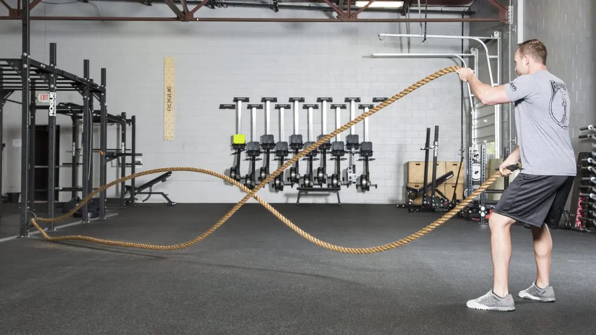 Rogue Fitness Rogue ML/Infinity Rope Attachment Anchor [Black, Yes, 14"]
