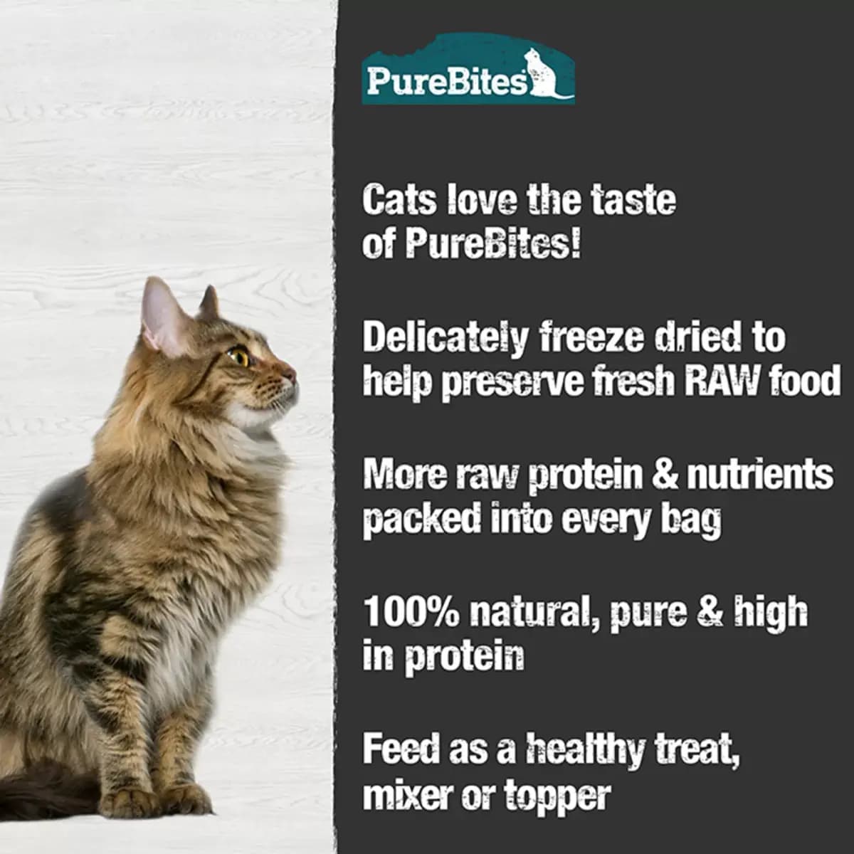 Purebites® Freeze Dried Cat Treat - Minnow 1.09 OZ [Species Cat, Brand PureBites, Food Type Freeze Dried, Breed Size All]