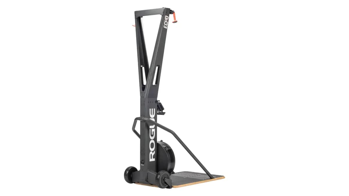 Rogue Fitness Rogue Echo SKI [Rogue Fitness, Black, No]