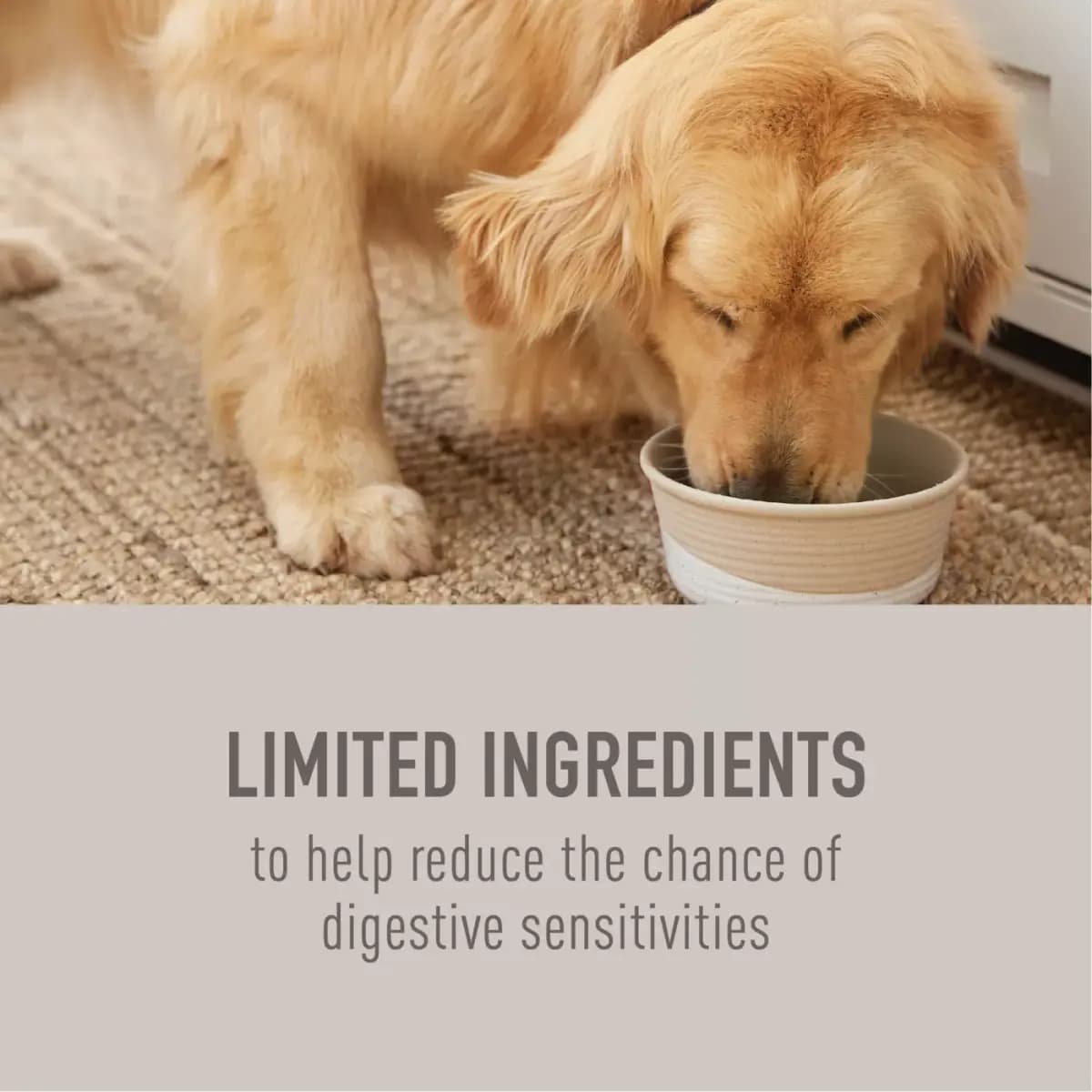 Simply Nourish® Limited Ingredient Diet Adult Dry Dog Food - Salmon & Sweet Potato [Brand Simply Nourish®, Food Type Dry, Life Stage Adult, Flavor Salmon & Sweet Potato]
