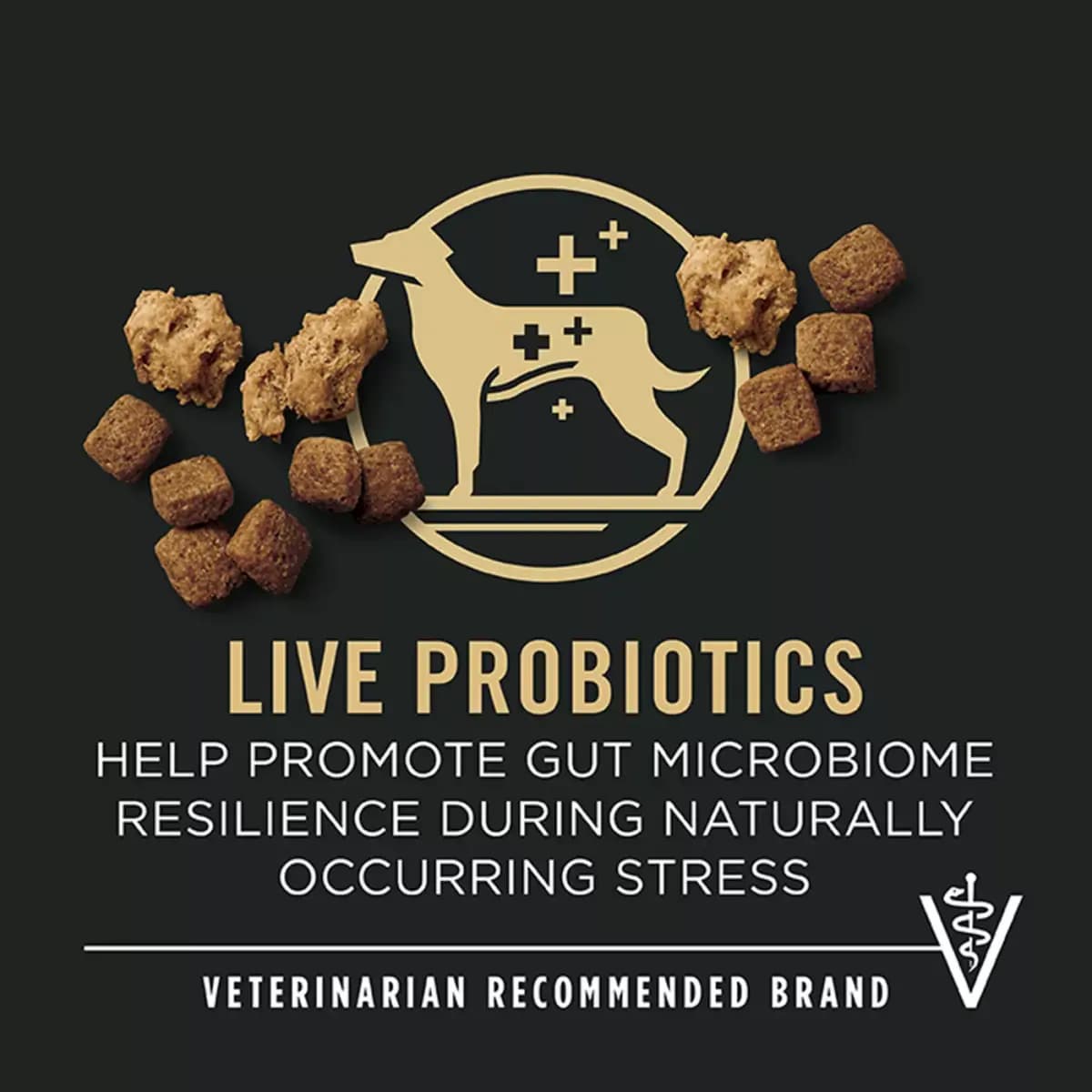 Purina Pro Plan Senior Dry Dog Food With Probiotics for Dogs, Shredded Blend Chicken & Rice Formula [Species Dog, Brand Pro Plan Complete Essentials, Food Type Kibble, Crunchy, Har