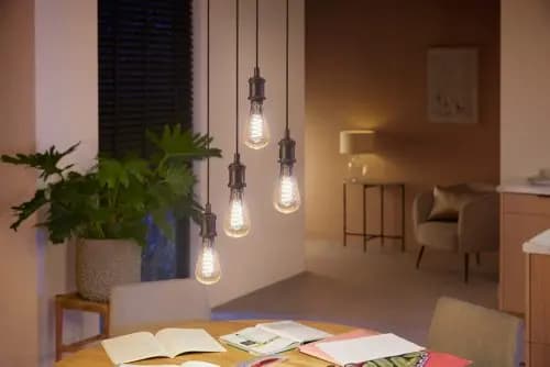 Philips Hue Edison ST23 E26 Filament LED Bulb - White Ambiance [Standby power consumption 0.5 W, Color temperature 2200-4500 K, Power 7 W]