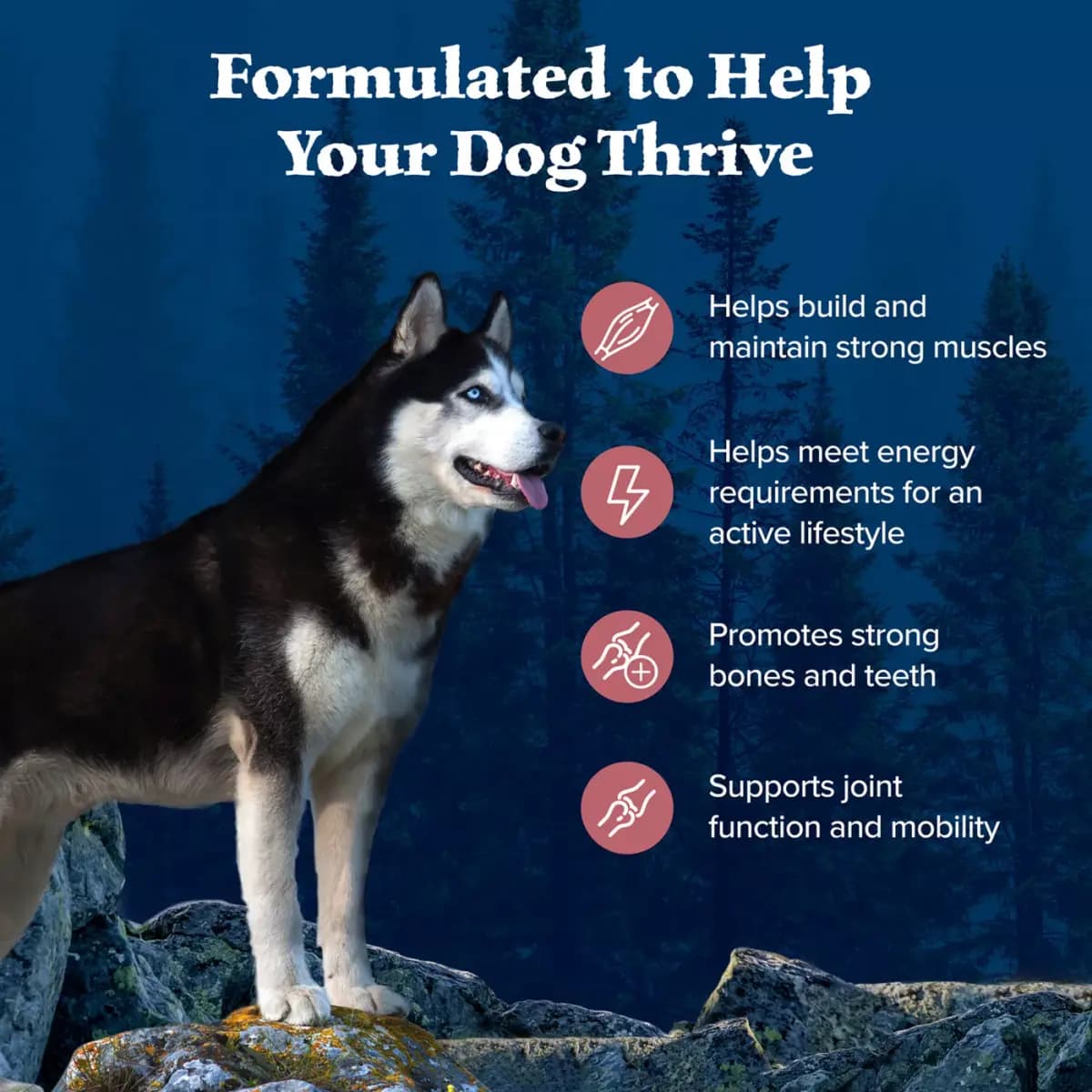 Blue Buffalo Wilderness High Protein, Salmon with Wholesome Grains Adult Dry Dog Food [Brand Blue Buffalo, Food Type Kibble, Breed Size All, Life Stage Adult]