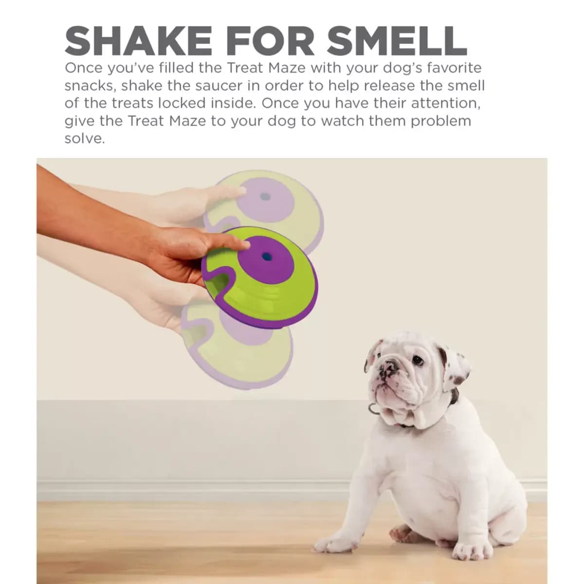 Outward Hound Treat Maze Interactive Puzzle Dog Toy [Includes 1 Treat Maze, Intended For Dog, Activity Puzzle game, Color Green]