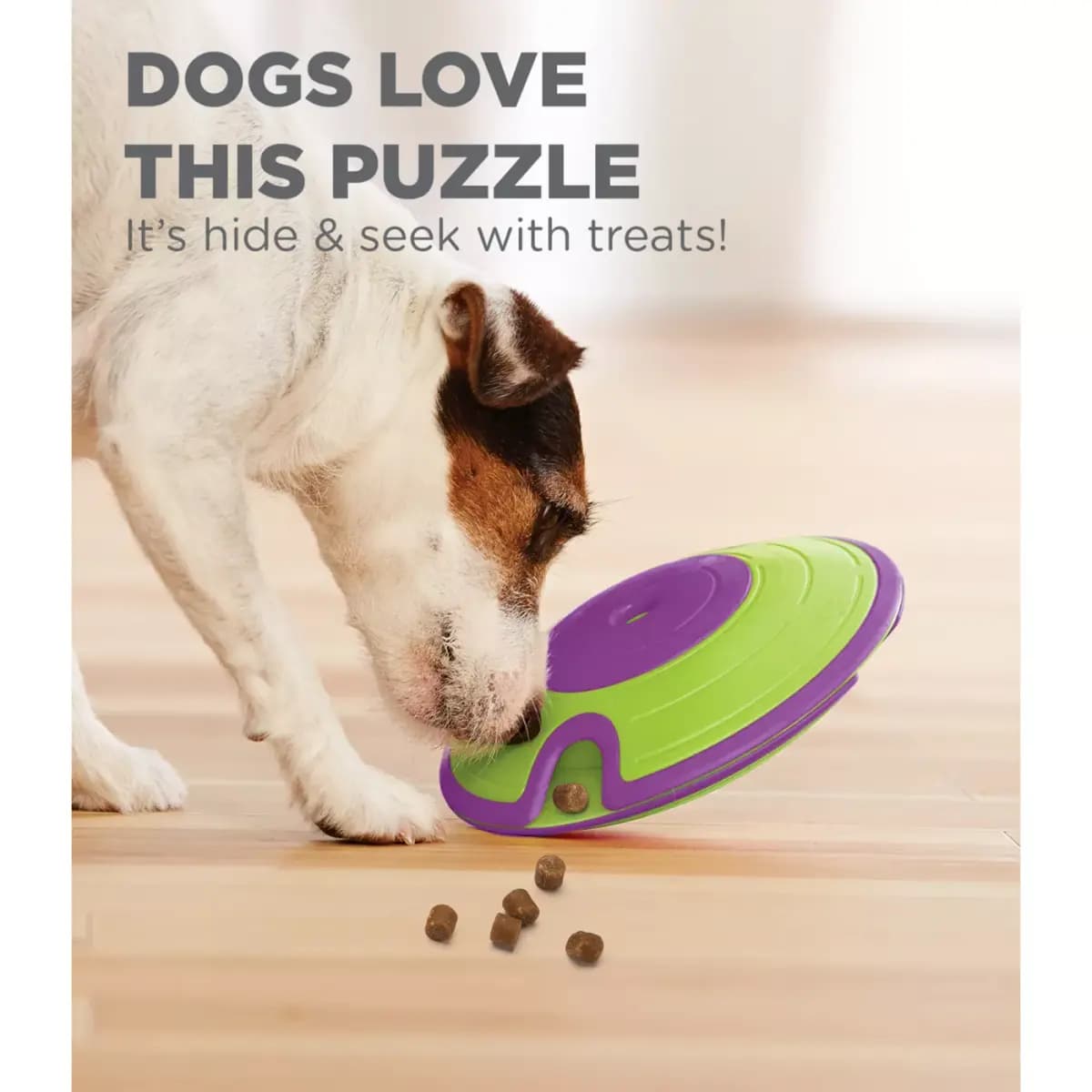 Outward Hound Treat Maze Interactive Puzzle Dog Toy [Includes 1 Treat Maze, Intended For Dog, Activity Puzzle game, Color Green]