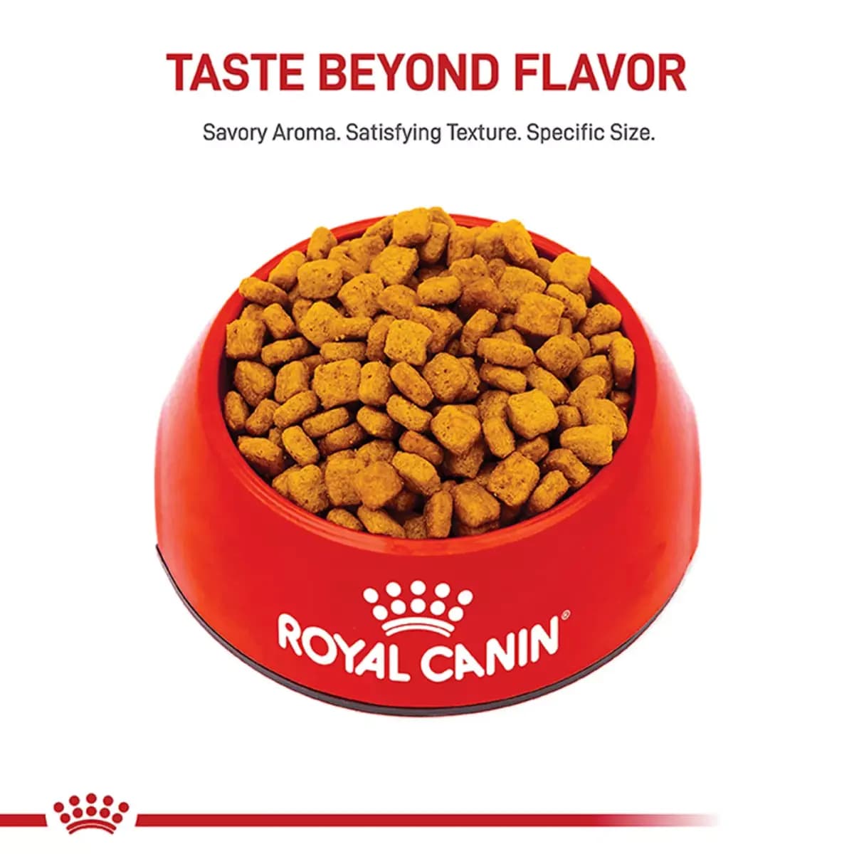 Royal Canin Breed Health Nutrition Dachshund Adult Dry Dog Food [Species Dog, Brand Royal Canin® BREED HEALTH NUTRITION®, Food Type Kibble, Breed Size Small]