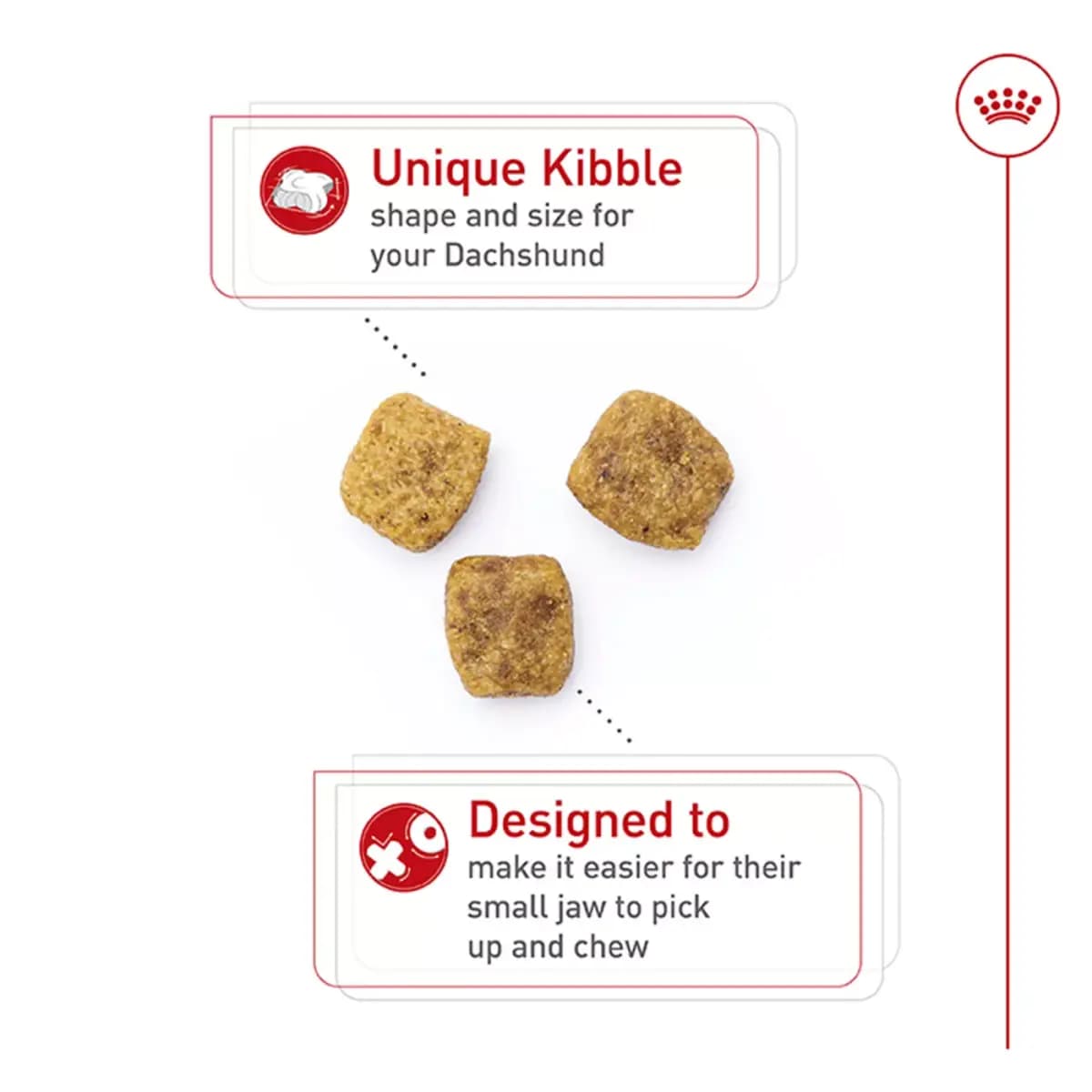 Royal Canin Breed Health Nutrition Dachshund Adult Dry Dog Food [Species Dog, Brand Royal Canin® BREED HEALTH NUTRITION®, Food Type Kibble, Breed Size Small]
