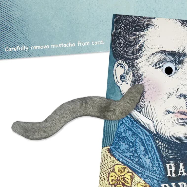 Dapper Gentleman Funny Birthday Card With Removable Mustache [Front Happy Birthday, Sir., Dimensions 5.75" x 8.5", Item number 699IMI2024]