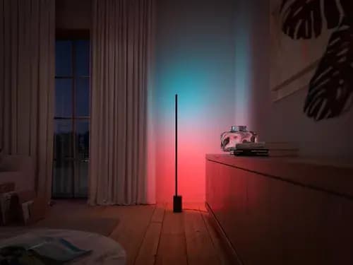 Philips Hue Signe gradient floor lamp [046677803513, Black, Aluminium]