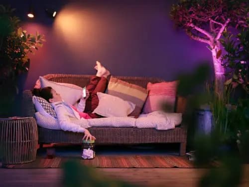 Philips Hue Lily Outdoor Spot light Extension Standard [Overall height 7-5/8 inch, Cable length 500, Color temperature 2000-6500 K]