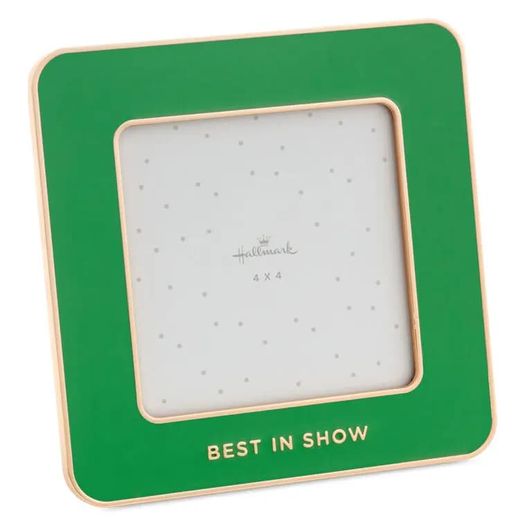 Best in Show Green Enamel Picture Frame, 4x4 [Message Best grandkids (seriously), Dimensions 5.5'' W x 5.5'' H x 0.5'' D, Material Enameled metal and glass., Count 1]
