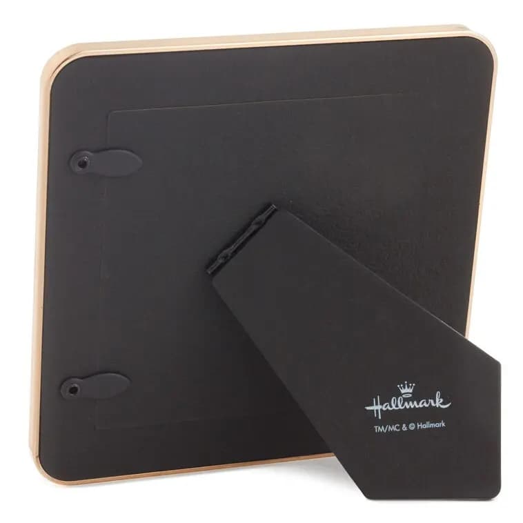 Best in Show Green Enamel Picture Frame, 4x4 [Message Best grandkids (seriously), Dimensions 5.5'' W x 5.5'' H x 0.5'' D, Material Enameled metal and glass., Count 1]