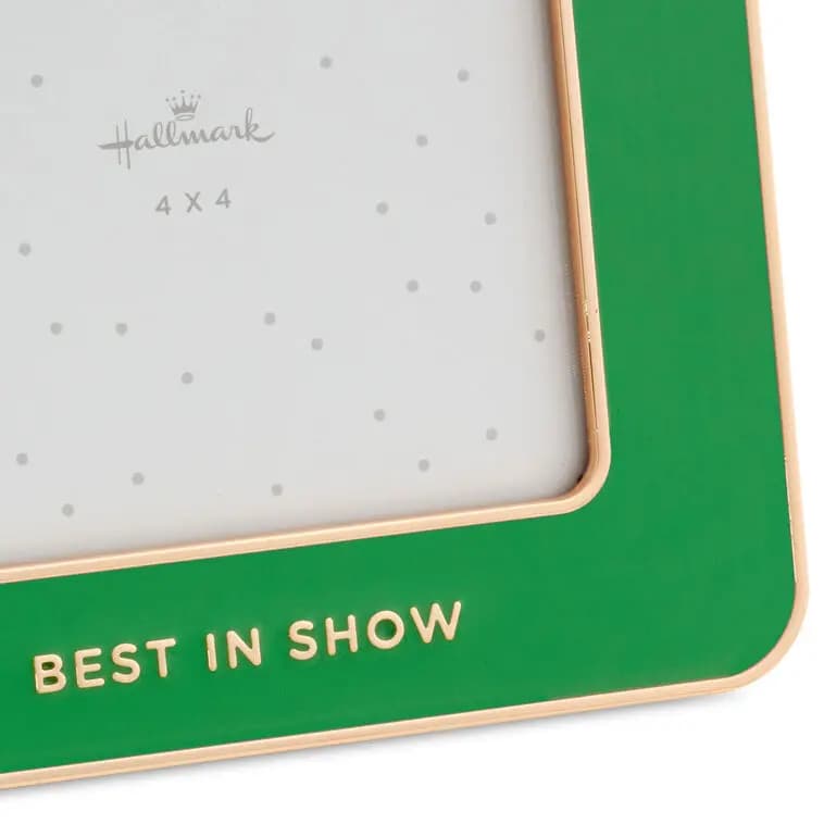 Best in Show Green Enamel Picture Frame, 4x4 [Message Best grandkids (seriously), Dimensions 5.5'' W x 5.5'' H x 0.5'' D, Material Enameled metal and glass., Count 1]