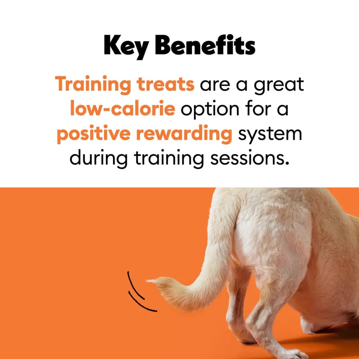 Wiggles & Wags Training Bites Bacon Dog Treats [Brand Wiggles & Wags, Food Type Dog Treat, Flavor Bacon, Weight 1 lb (453 g)]