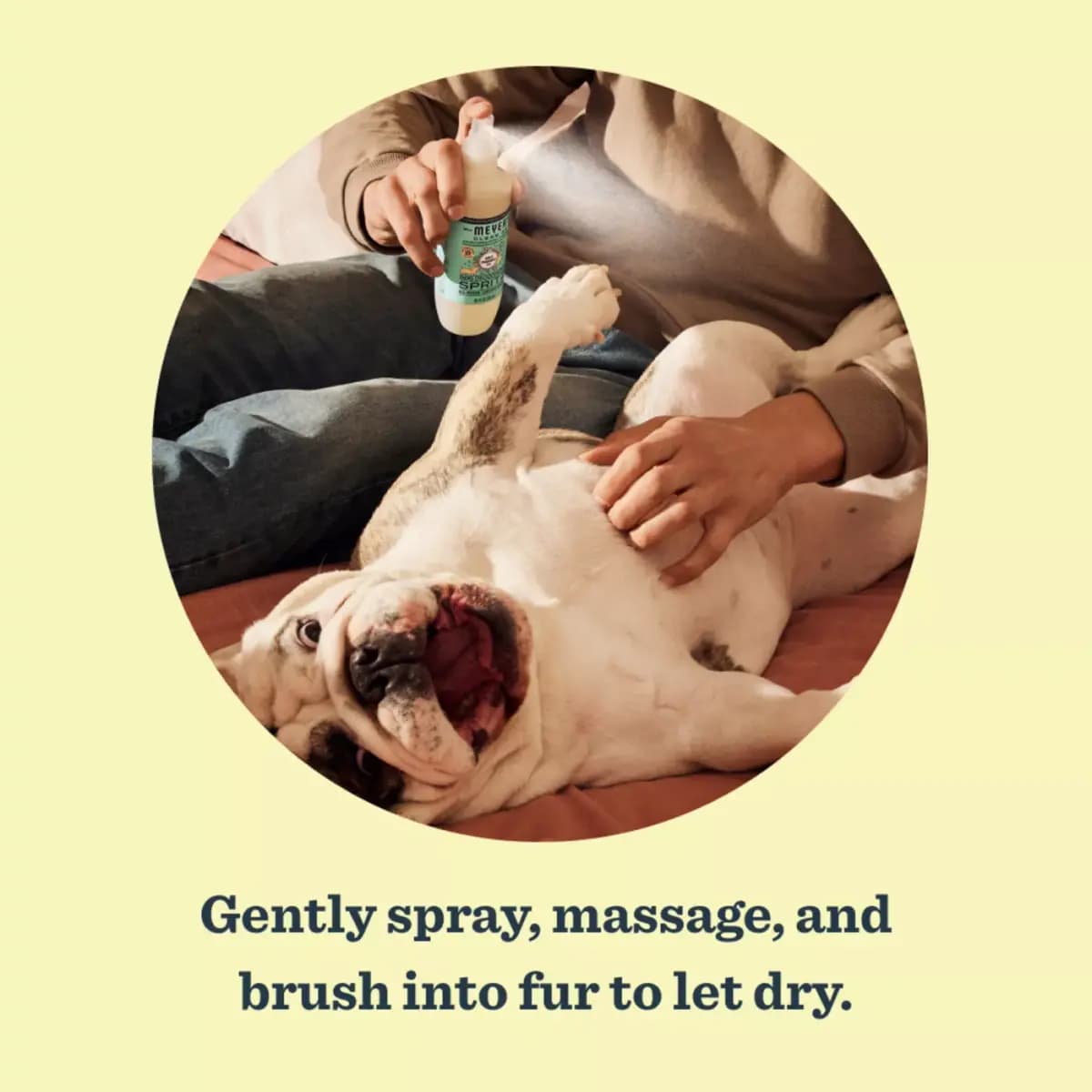 Mrs. Meyer's® Deodorizing Spritz No Rinse Dog Spray - Sweet Chamomile 8 oz [Intended For Dogs, Includes 1 - 8oz bottle, Dimensions "Unit Depth - 2.087in, Pet Weight No pet weight r