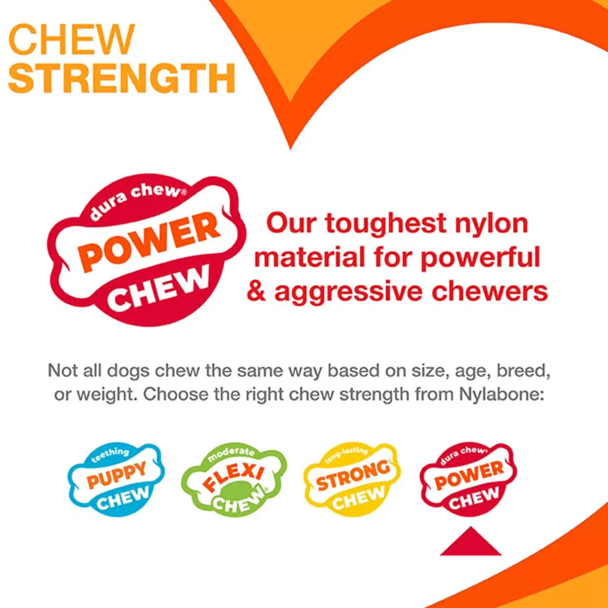 Nylabone® Power Chew Durable Dog Toy, Bacon Flavor [Includes 1 Toy, Intended For Dog, Dimensions 3 in L x 1.5 in W x 5.5 in H, Color Green]