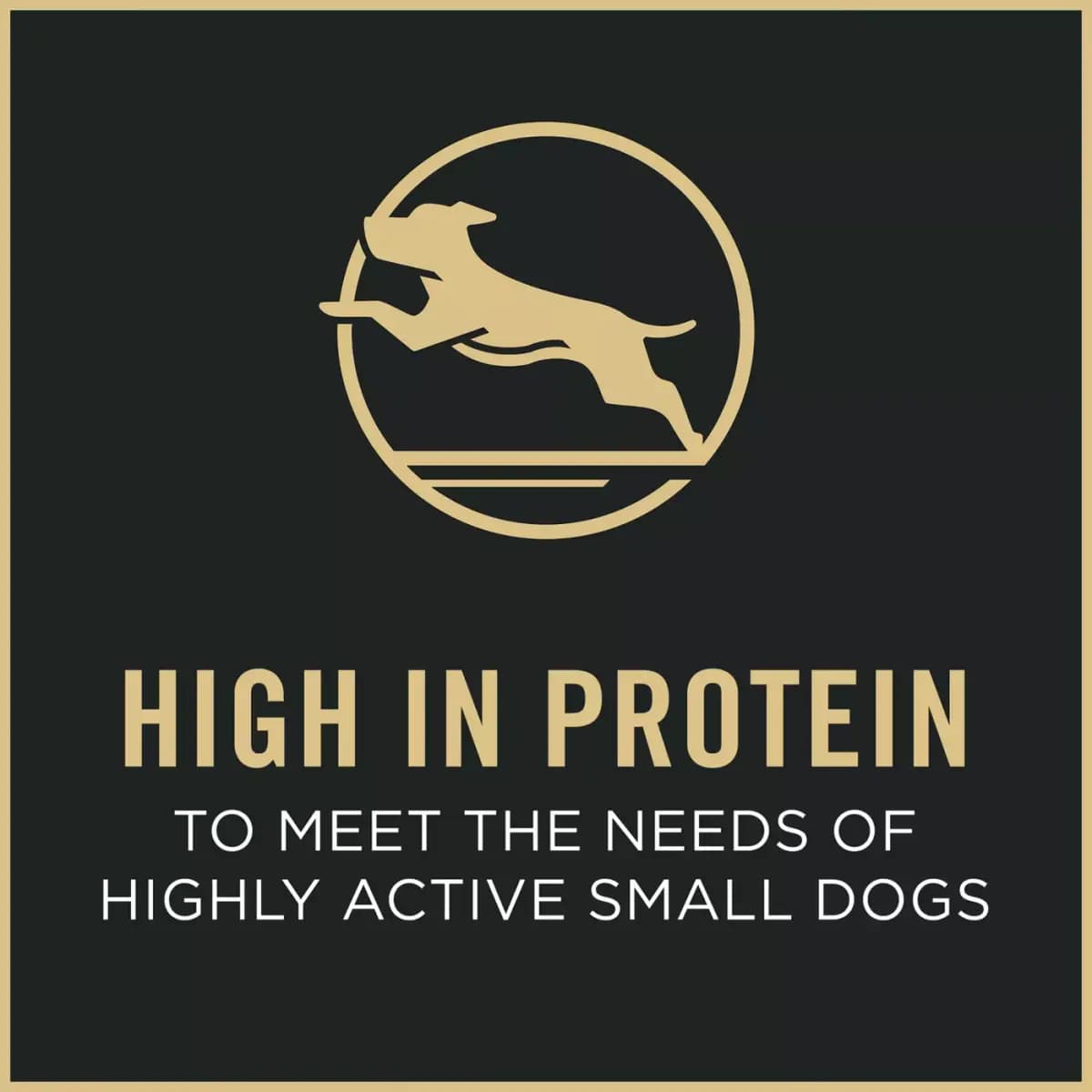 Pro Plan SAVOR Purina Pro Plan Small Breed Dry Dog Food Shredded Blend Chicken & Rice Formula With Live Probiotics [Species Dog, Brand Pro Plan SAVOR, Food Type Kibble, Crunchy, Ha