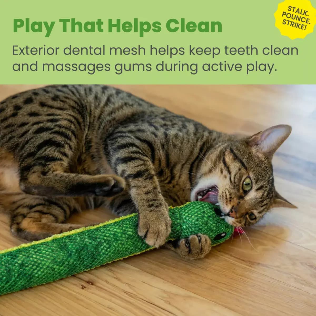 Catstages Snake Kicker Cat Toys [Description and Overview Awaken your cat's inner hunter with the, Product Brand & Name Catstages Kicker Constrictor Cat Toy wit, Features Prey-Insp